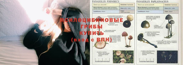 мескалин Медвежьегорск