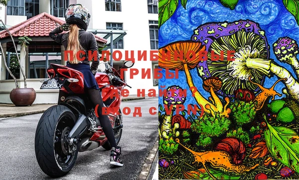 мескалин Медвежьегорск