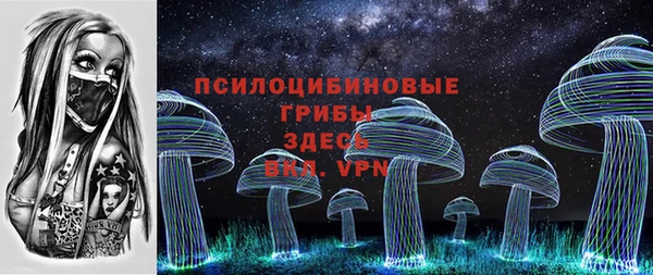 мескалин Медвежьегорск