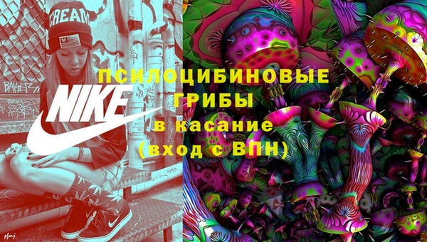 2c-b Медногорск