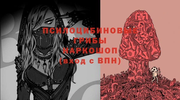 2c-b Медногорск