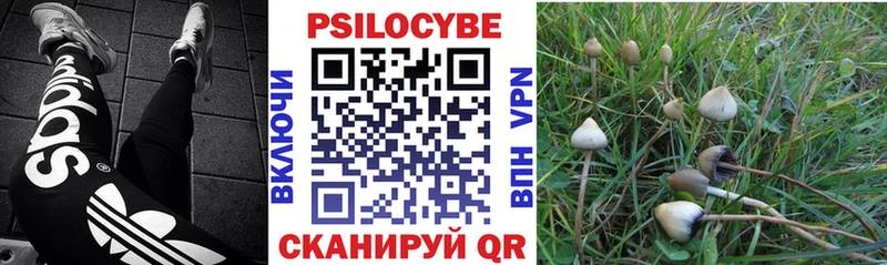 Галлюциногенные грибы мухоморы  площадка формула  Луза 